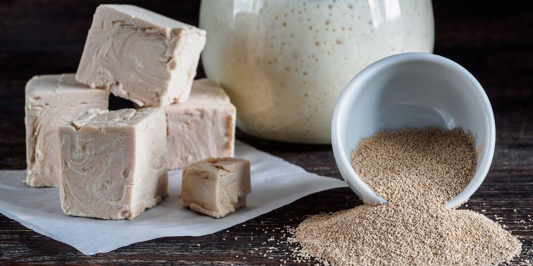 ЗАКВАСКА против дрожжей: что вкуснее, полезнее и на чем реально можно экономить
