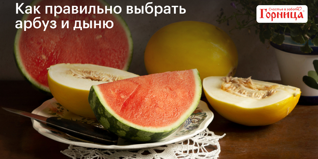 Как правильно выбрать арбуз и дыню