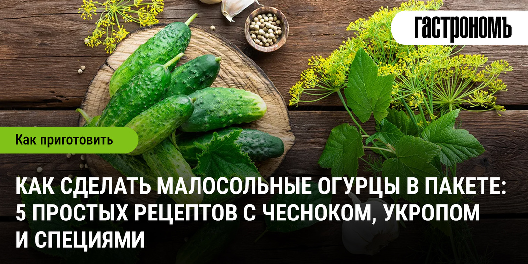 Как сделать малосольные огурцы в пакете: 5 простых рецептов с чесноком, укропом и специями