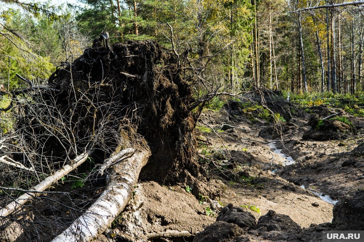     На севере Свердловской области произошло землетрясение (архивное фото)