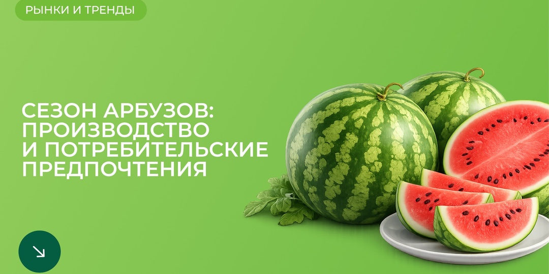 1,7 млн тонн бахчевых: где выращен основной урожай и как россияне выбирают арбузы