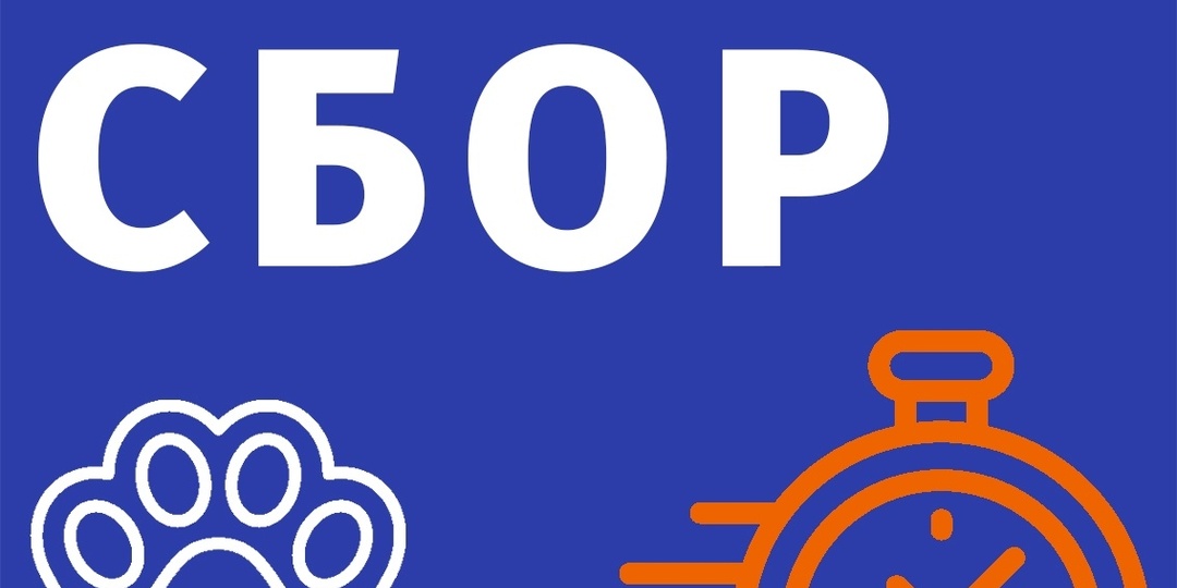 Почему в кошачьем доме не было Большого сбора за июль