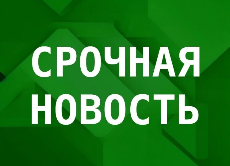 Вимание! Абрау-Дюрсо, Мысхако, Новороссийск - звучит тревога: сигнал уйти с пляжа и укрыться