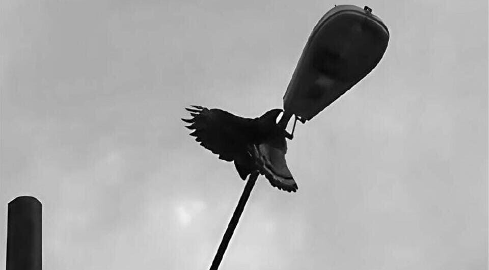     Vitor Bernardes Valentini and Vagner Cavarzere / Ornithological Science, 2026