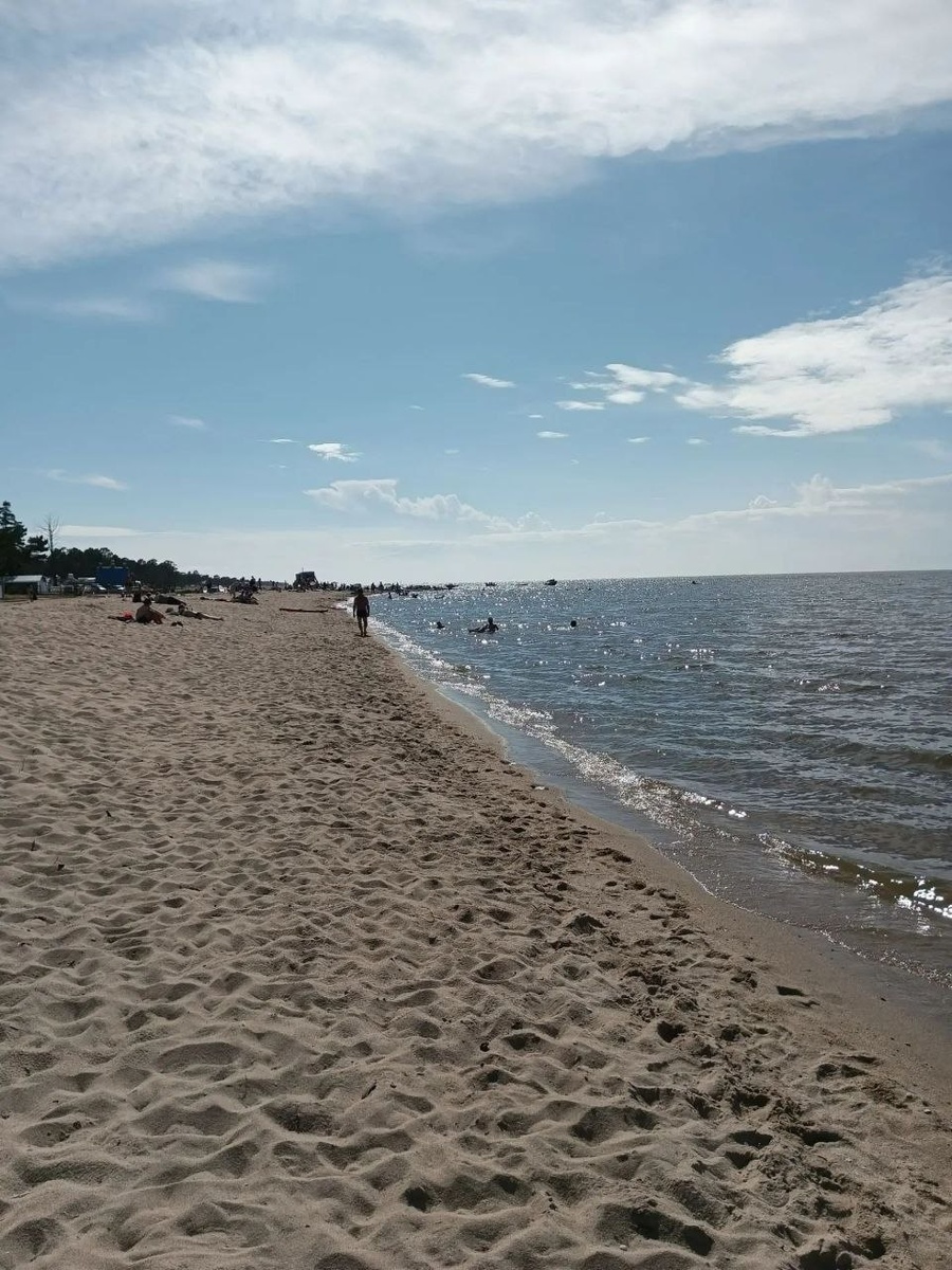 Фото автора.