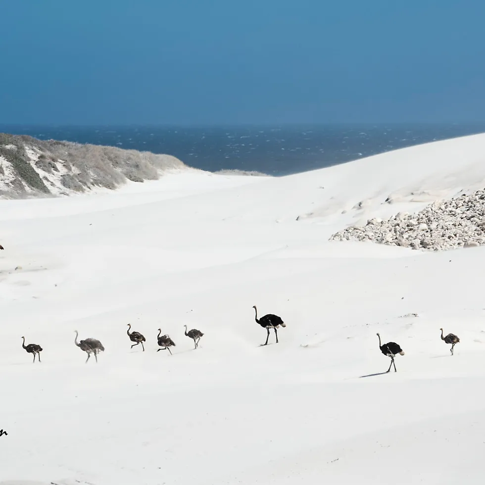 � �� ���� �� �����, � �� ���� �� �����!