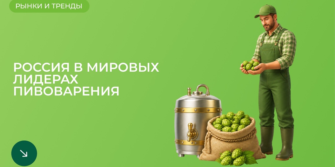 Россия вышла на 1-е место в Европе по производству пива, обогнав Германию