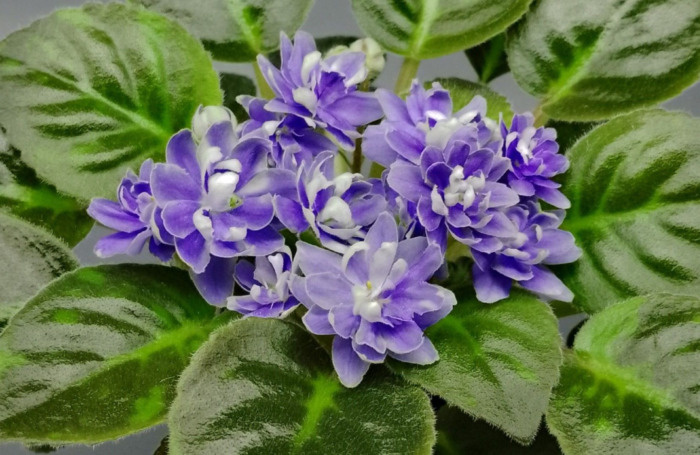   📷
