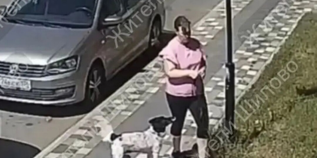 Брошенная собака каждый день ждёт возвращения хозяйки в Шилово Воронежской области