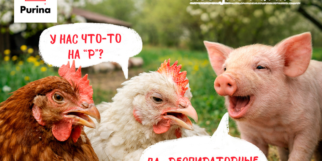 Азбука Purina®: Р – респираторные заболевания