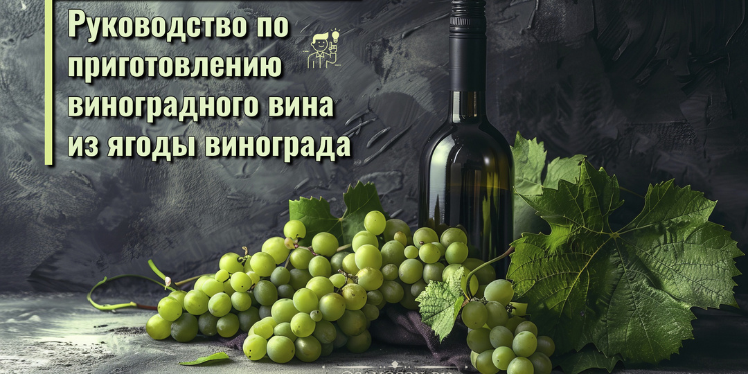 Руководство по приготовлению виноградного вина из ягоды винограда. Приготовим полусладкое, сухое вино, а также вермут и мартини.