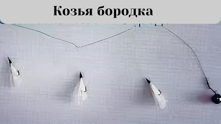 "Козья бородка"-уловистая снасть придуманная прадедами