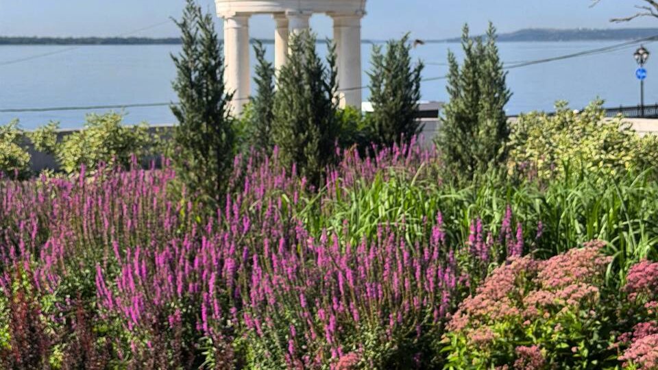 Триумфальное возвращение йоги на набережной в мою жизнь