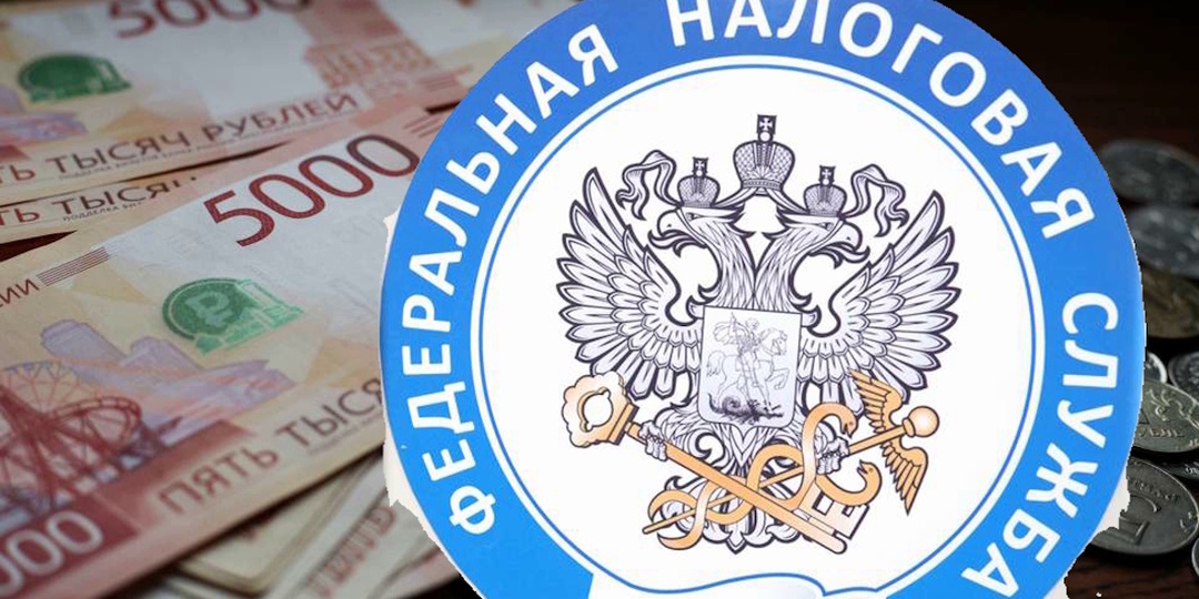 Никакой нефтяной иглы. В России выросло число уголовных дел об уклонении от налогов