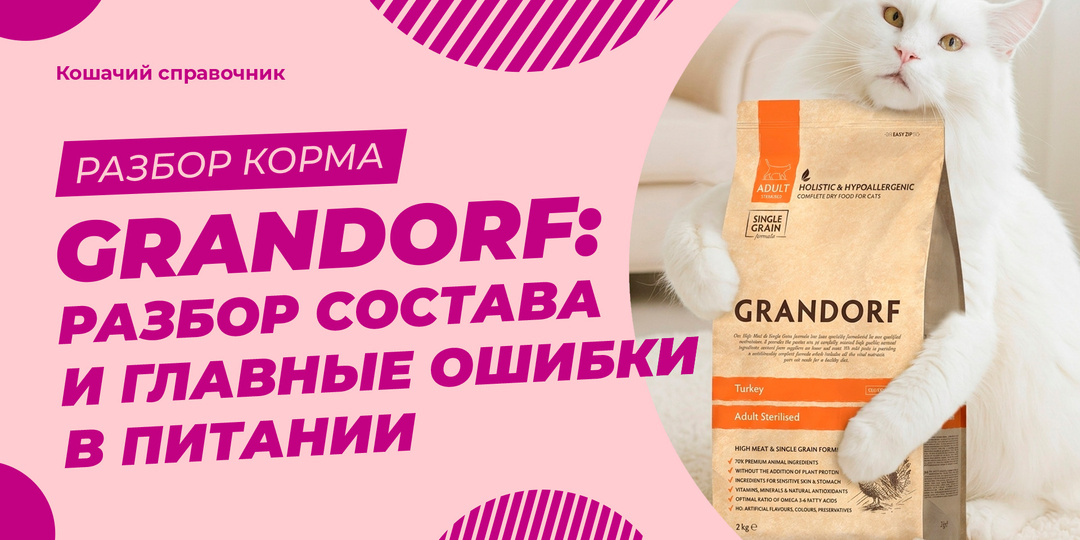 Grandorf: разбор состава и главные ошибки в питании
