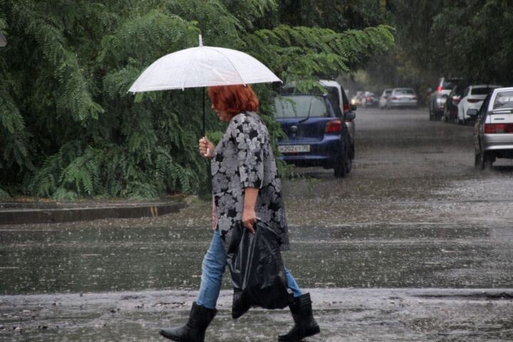 Как выбрать зонт, который выдержит любую погоду