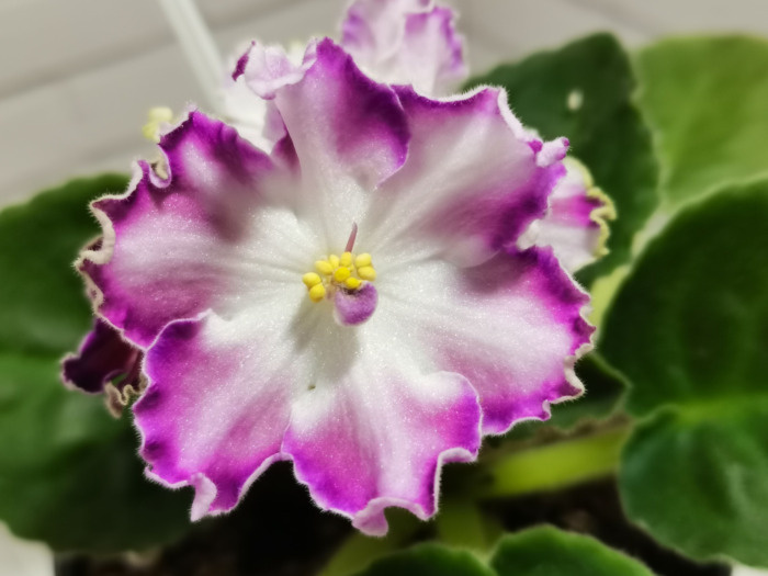   📷
