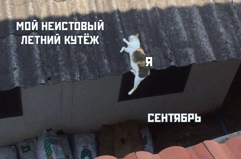 Мемы про конец лета: сентябрь подкрался незаметно