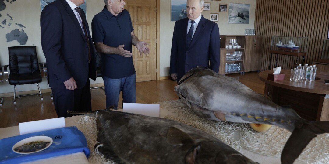 Путин на Итурупе: почему новость взорвала японские соцсети и что стоит за этим сигналом