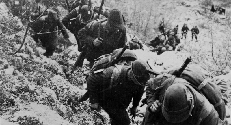 Вооружение союзников Рейха: 6 экземпляров