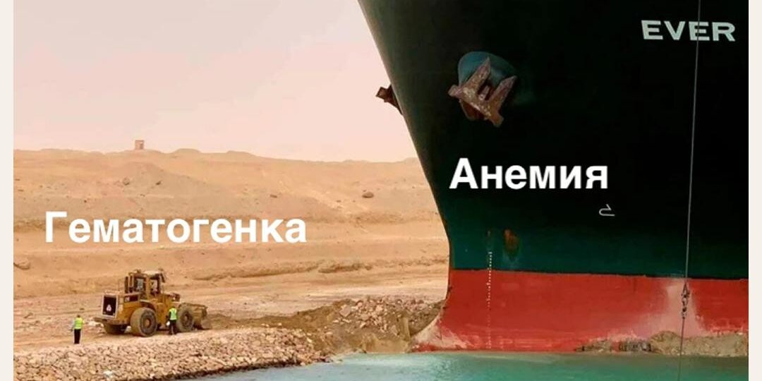 Гемоглобин ниже нормы: что важно знать