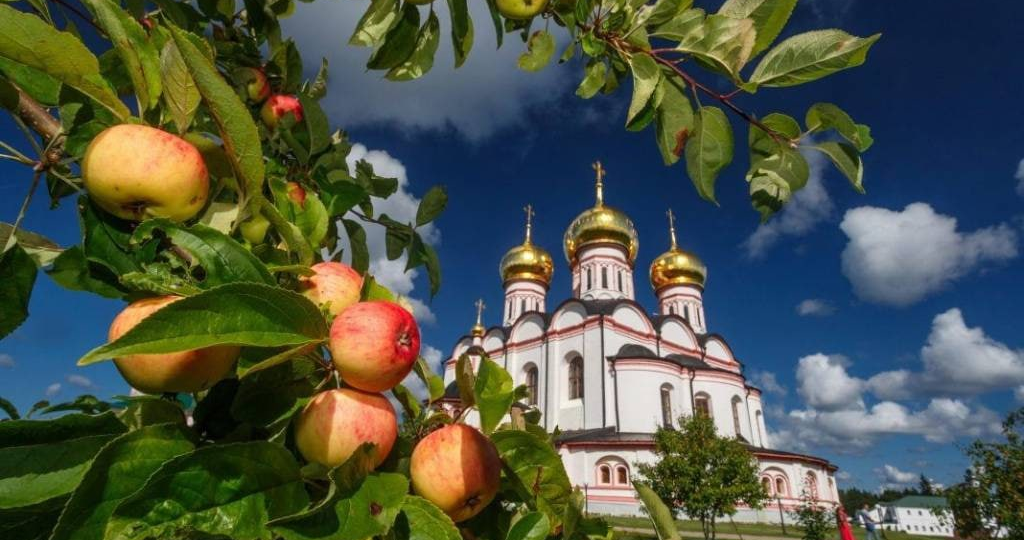 Яблочный Спас в Подмосковье: 23 августа в Вербилках устроят большой праздник с ярмаркой и кино под открытым небом
