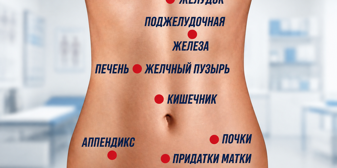 Карта боли в животе: как по локализации и характеру боли определить, что именно болит. Сохраните шпаргалку