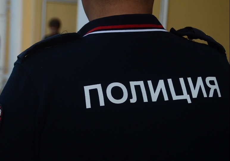 Полицейские в Петербурге задержали агитатора "Яблока"