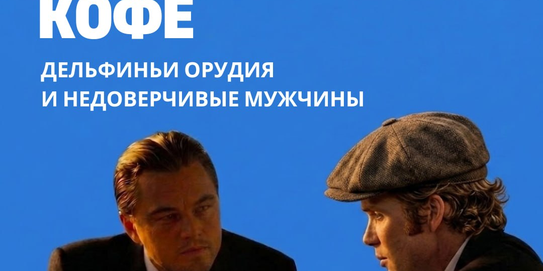 Утренний кофе. Дельфиньи орудия и недоверчивые мужчины