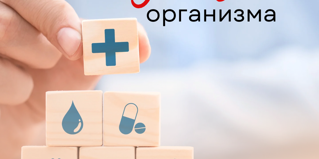 Подсказки организма