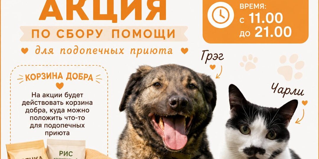 ⚡️АКЦИЯ В ГЛОБУСЕ⚡️