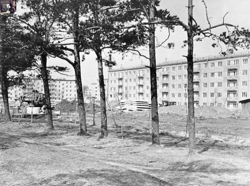 1968 год. Строительство домов на ул. Вокзальной. Фото: группа «Череповец Ностальгия. Живая история Череповца» в соцсети «ВКонтакте»
