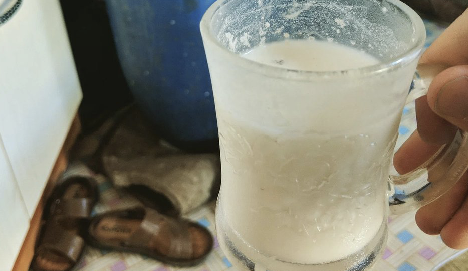 Российская туристка попробовала в Казахстане кумыс и чуть не умерла