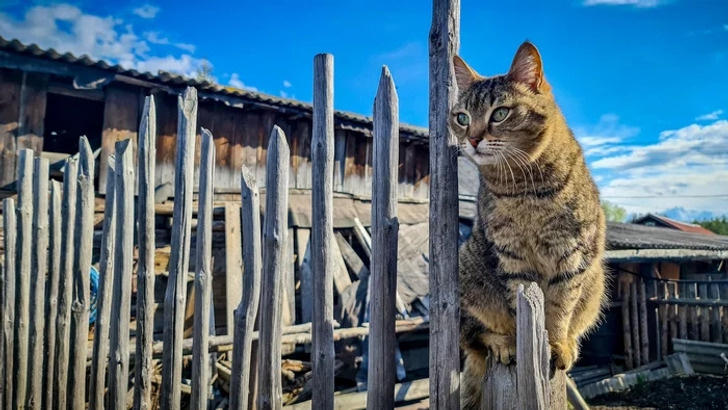 © kelchin 
