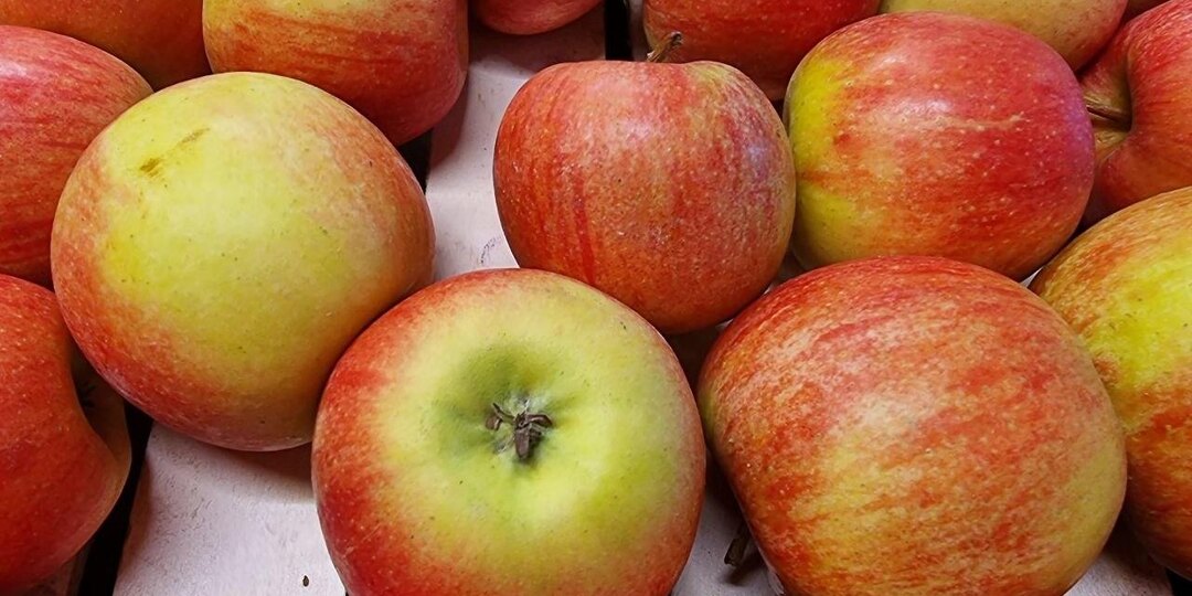 С каким орехом яблоко становится полезнее вдвойне: перекус, который продлевает сытость и питает мозг