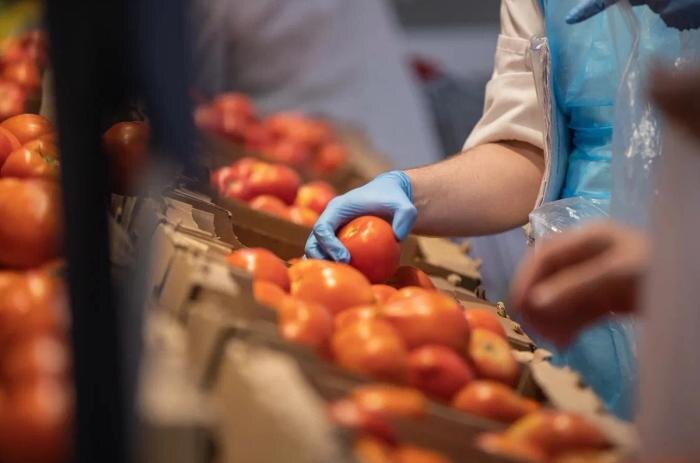 Помидоры впервые с сентября 2025 года стали дешевле 200 рублей