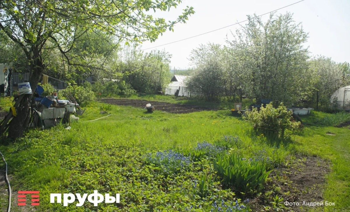    Пруфы.рф