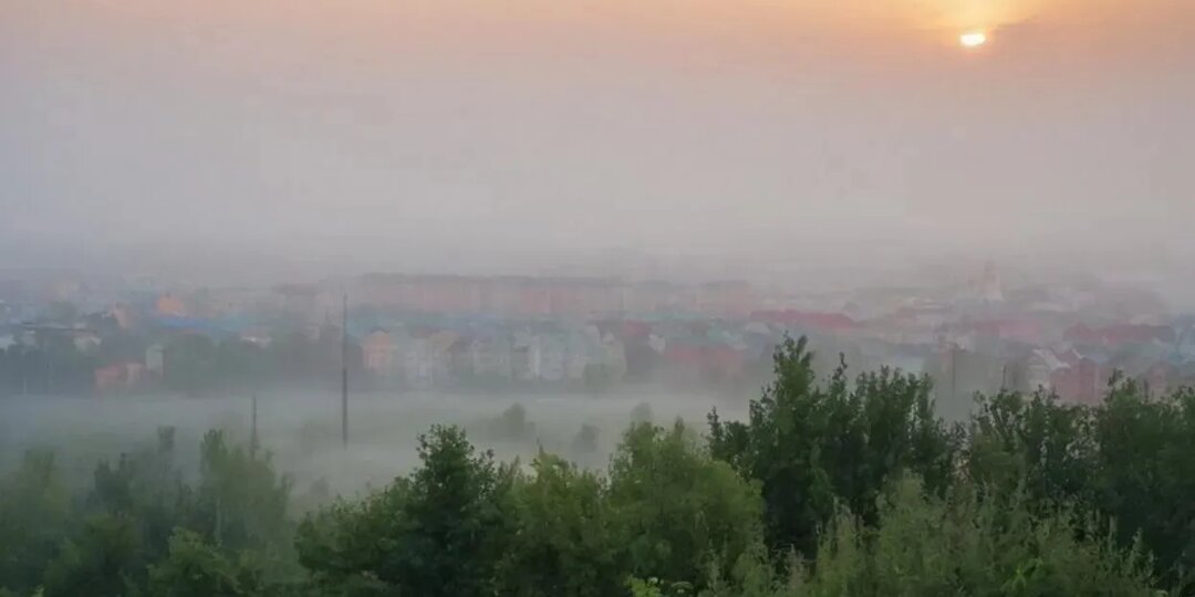 Туман ожидается в Удмуртии 16 августа