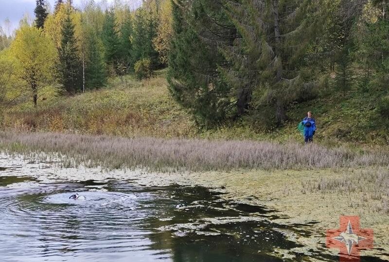В реке Бабка в Пермском округе утонул человек
