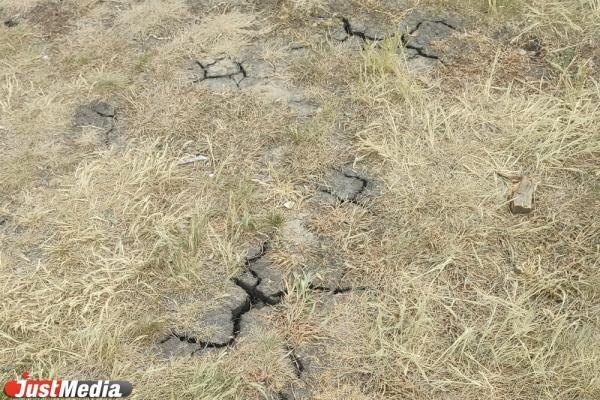 Землетрясение унесло жизни 20 человек в Индонезии
