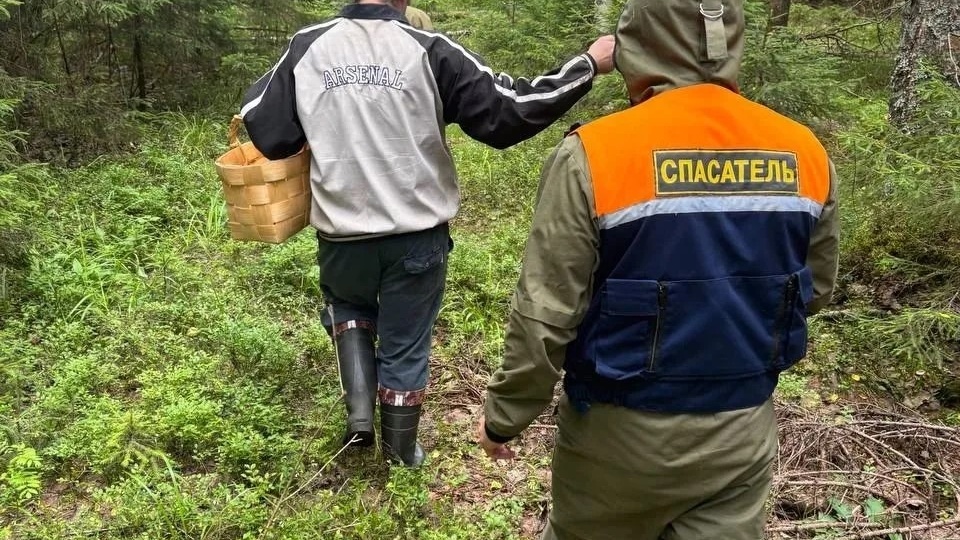 Спасатели с начала года вывели из лесов Карелии 16 заблудившихся человек