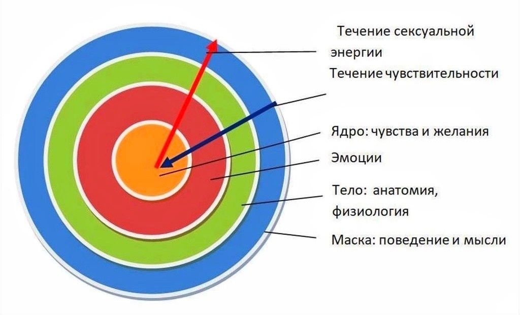 Структура психики по ТОП. Течение чувствительности и сексуальной (жизненной) энергии
