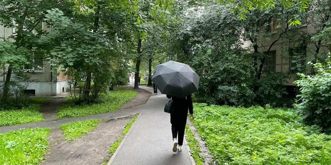 Петербуржцам пообещали осадки и потепление до +24 в воскресенье