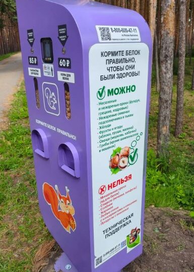 Белок перевели на платный рацион: в Сызрани установили автоматы по продаже корма для зверьков