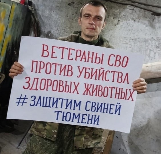 Новый забой сельхозживотных. Новые аресты. Железный шаг агрохолдингов