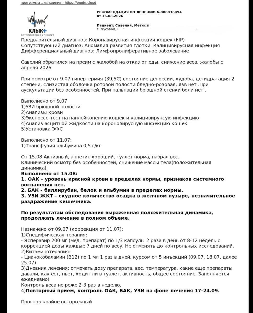 Выписке из клиники " Клык"