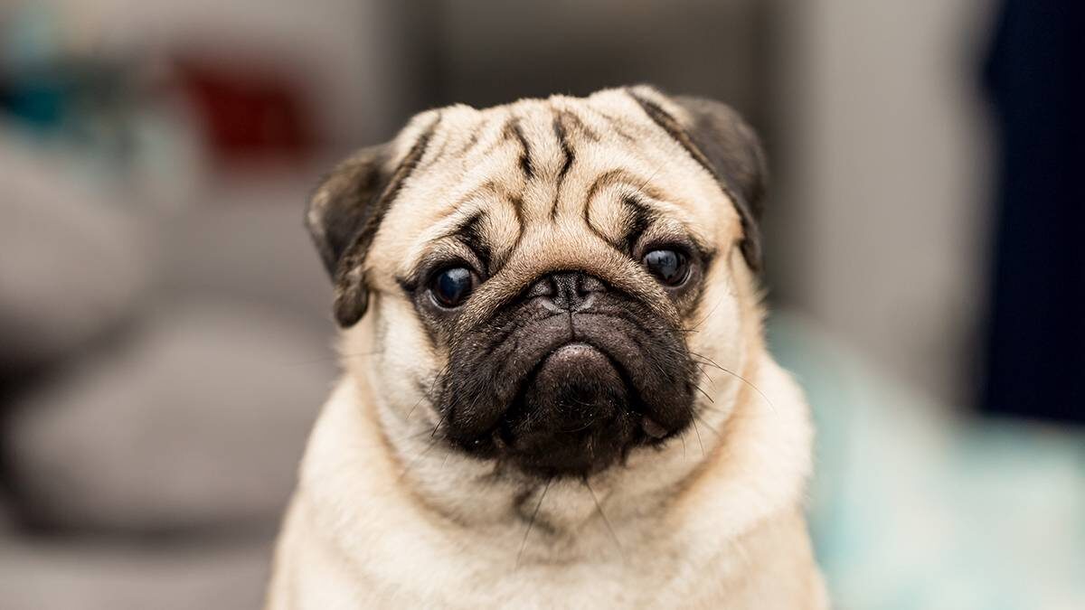    Фото: Shutterstock