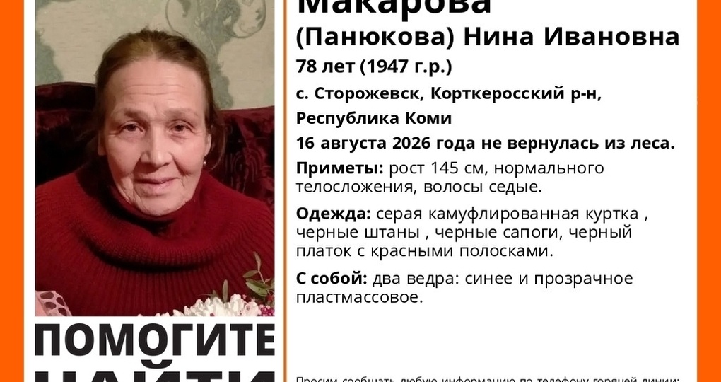 В лесу Коми ищут 78-летнюю женщину