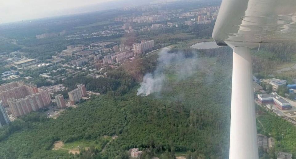 Комлесхоз Подмосковья рассказал о лесопожарной обстановке