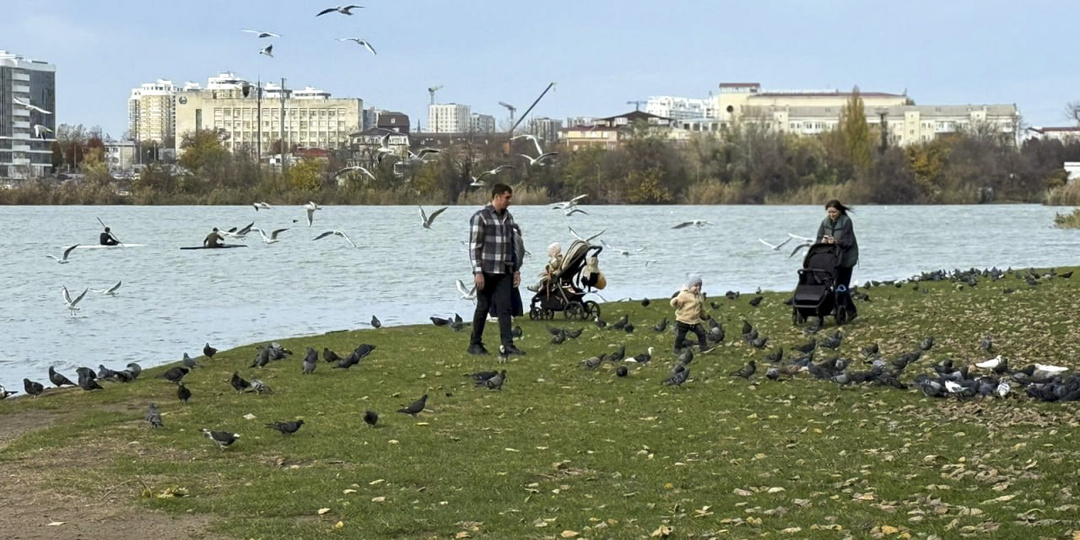 Куда отправиться в Краснодаре: яркие альтернативы парку Галицкого